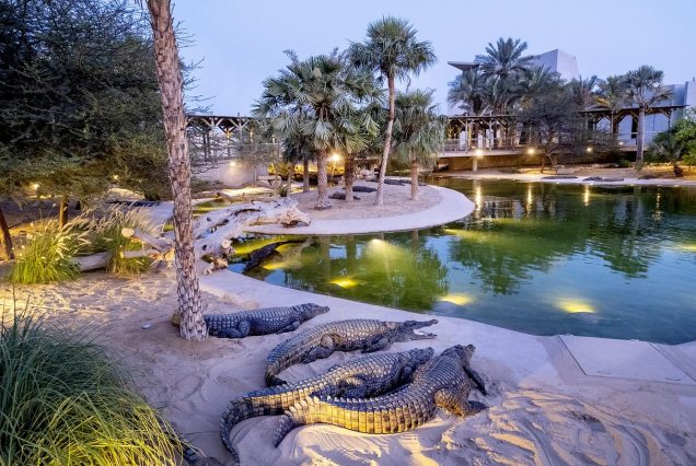 Dubai Crocodile Park